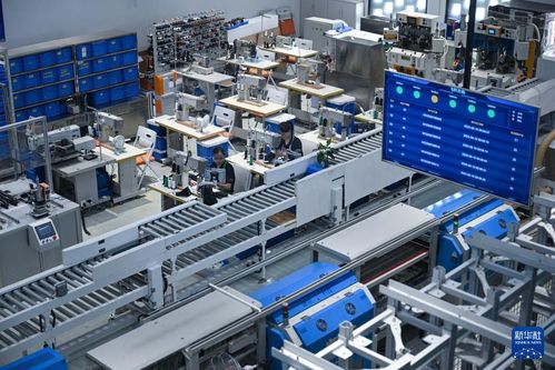 活力中國(guó)調(diào)研行丨福建莆田 從“制鞋基地”到“智造高地”的產(chǎn)業(yè)新活力